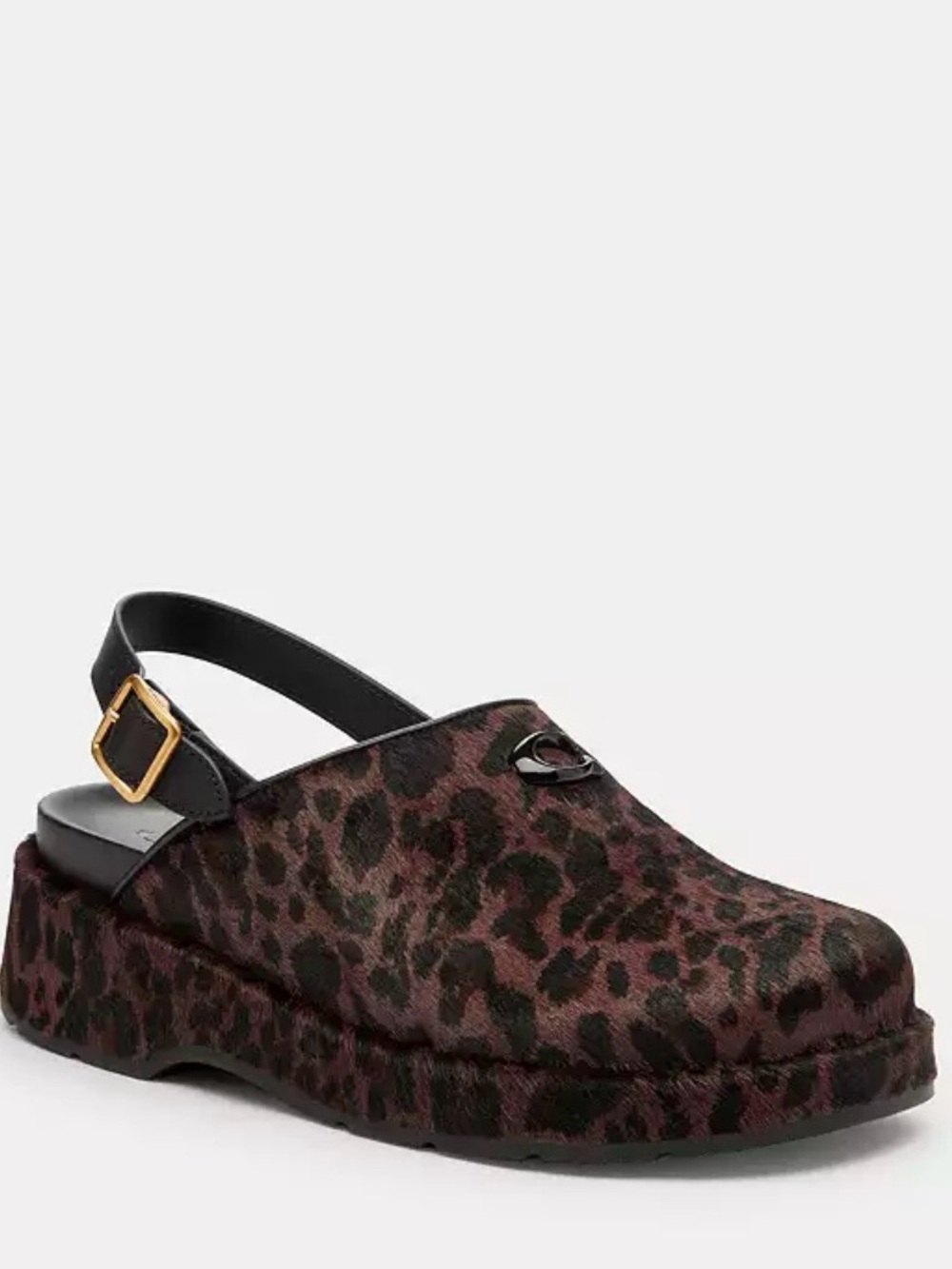 Coach Leopard Print Slingback Clog - Black & Brown